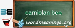 WordMeaning blackboard for carniolan bee